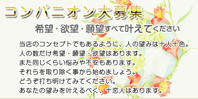 コンパニオン大募集
